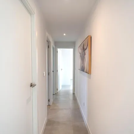Beautiful New Penthouse In Apartment